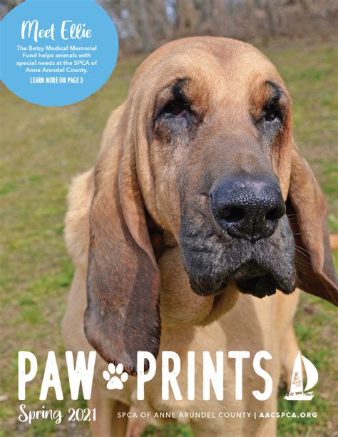 Paws Spring 2021 .